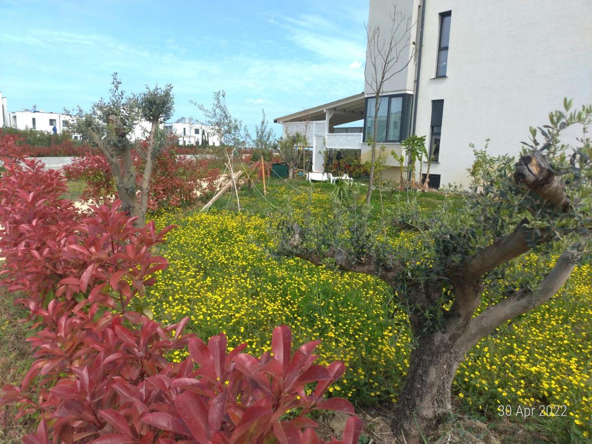 Welcome Beach Apartment Hamallaj المظهر الخارجي الصورة
